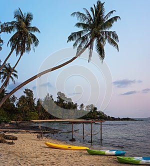 Sea and rocky shore with coconut palm tree, Koh Kood, Thailand.Tropical sandy beach with a coconut palm tree and kayak at sunset.