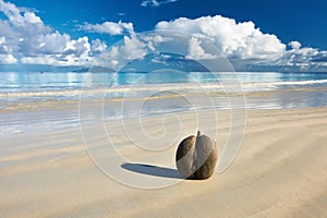 Sea's coconuts (coco de mer) on beach at Seychelles