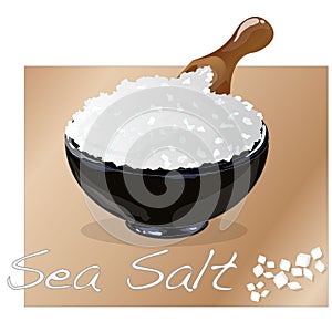 Sea salt in ceramic bowl for cooking or spa, isolated