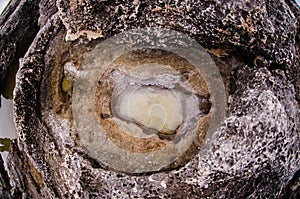 Sea salt deposits in a hole