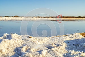 Sea salt after evaporation of ocean water at salines in Faro, Algarve, Portugal