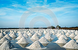 Sea salt farm and barn in Thailand. Organic sea salt. Raw material of salt industrial. Sodium Chloride. Solar evaporation system.