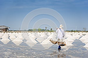 Sea salt farm near coastal at Samut Songkhram province, Thailand