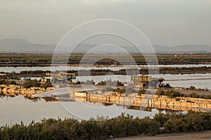 Sea salt fields