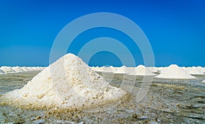 Sea salt fields with piled salt
