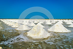 Sea salt fields with piled salt