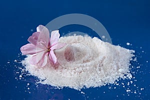 Sea salt and flower