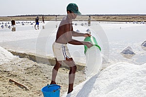Sea salt harvesting