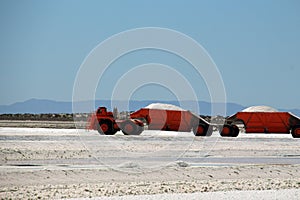 Sea salt mining in the salt flats of the lagoon at Ojo de Liebre, Baja California Sur, Mexico