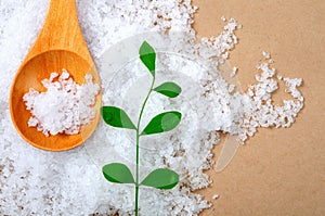 Sea salt, health, seasoning, bay salt, solar salt, saltiness