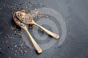 Sea salt, peppers mix, cardamon, mustard seeds and red paprika flakes in wooden spoons.