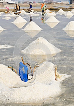 Sea salt piles in Thailand