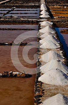 Sea salt production