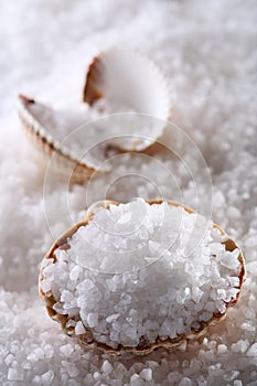 Sea salt in sea shell on salts background