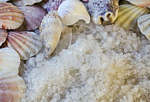 Sea salt and seashells
