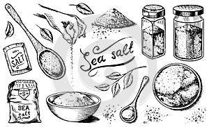 Sea salt set. Glass bottles, packaging and and leaves, wooden spoons, powdered powder, spice in the hand. Vintage