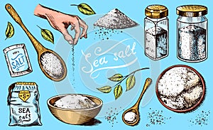 Sea salt set. Glass bottles, packaging and and leaves, wooden spoons, powdered powder, spice in the hand. Vintage