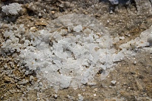 Salt crystals. photo