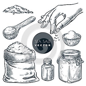 Sea salt sketch vector illustration. Natural ingredient, seasoning spice. Hand drawn isolated design elements