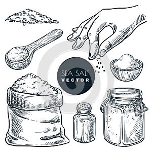 Sea salt sketch vector illustration. Natural ingredient, seasoning spice. Hand drawn isolated design elements photo