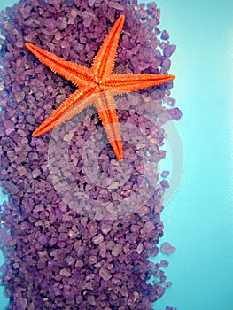 Sea salt and starfish