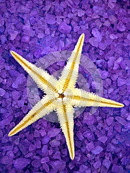 Sea salt and starfish