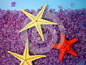 Sea salt and starfishes