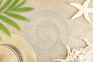 Sea sand background with shells and starfish, next to panama, with a tropical palm tree leaf. The concept of tourism, leisure and