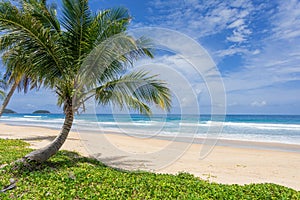 Sea sand beach background Summer beach with sunny sky and coconut tree Phuket island, Thailand Beautiful scene of blue sky and