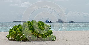 Sea Sand Beach at Meeru Island, Maldives May 2017