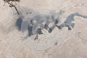 Sea sand and ink color patterns