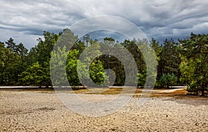 The Sea of Sand in Fontainebleau Forest, France