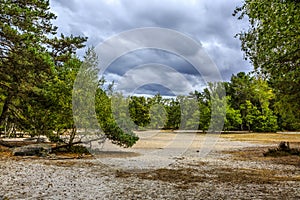 The Sea of Sand in Fontainebleau Forest, France