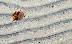 Sea sand pattern
