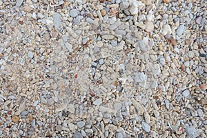 Sea sand and shell background .