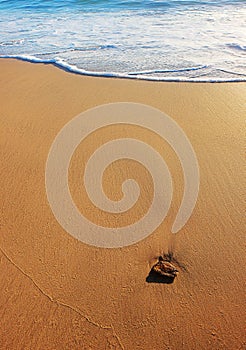 Sea sand and surf with pebble