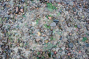 Sea sand texture made of shell and stone pieces