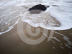 Sea and sand textures background