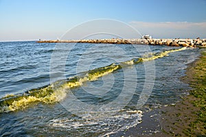 Sea with sandy beach near Ravenna