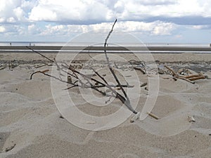 Sea sandy beach after a storm