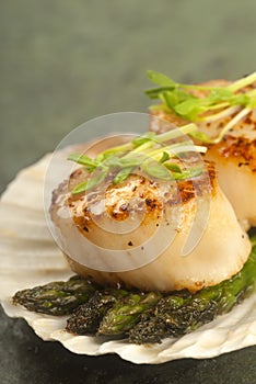 Sea Scallop with asparagus in a scallop shell