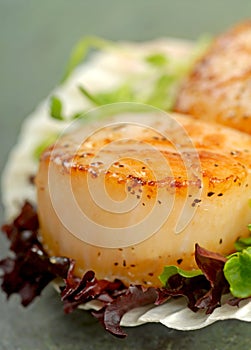 Sea Scallop with greens in a scallop shell