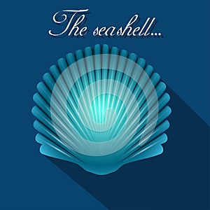 Sea scallop seashell blue icon. Vector. photo