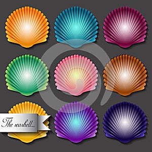 Sea scallop seashell set icon. Vector.