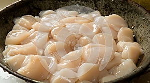Sea scallops
