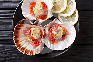 Sea scallops in a shell with sauce, tomatoes, parsley and lemon