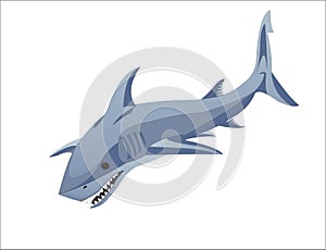 SEA AND SHADOW SHARK logo