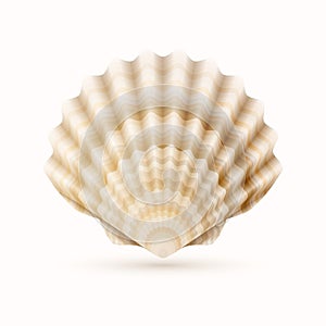 Sea shell