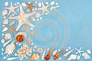 Sea Shell Abstract Background Border Collection