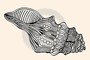 Sea Shell with abstract pattern